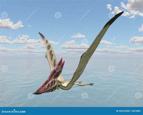 Pterosaur Thalassodromeus Stock Illustration Illustration Of Nature