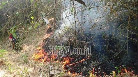 Breaking News Polisi Periksa Sejumlah Saksi Terkait Kebakaran Gunung