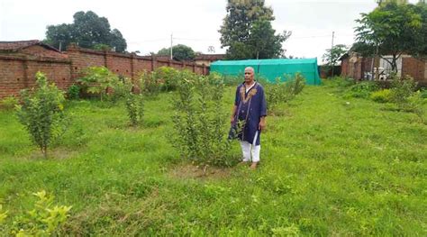 apple farming | Bokaro village witnesses apple farming for the first ...