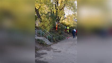 Feuerwehr Befreit Eingeklemmtes Kind Aus Einem Baum