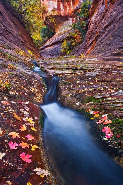 Explore The Light Photography Arizona Landscapes West Fork Narrows