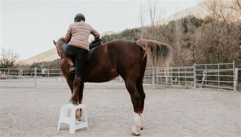 Monter sur ses grands chevaux Français Authentique