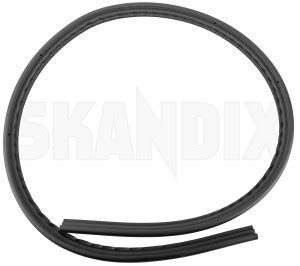 SKANDIX Shop Volvo Parts Door Seal Right 31256243 1087054