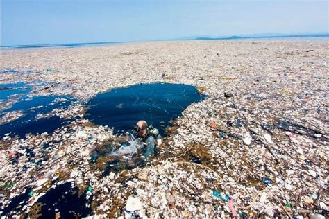 La Gran Mancha De Basura Del Oc Ano Pac Fico El Mayor Vertedero