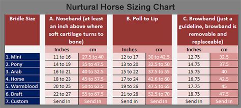 How Do I Measure My Horse | Nurtural Bitless Bridles by Circle-X