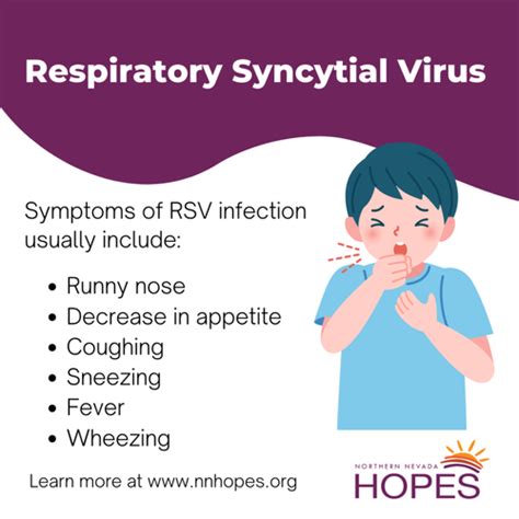 Respiratory Syncytial Virus RSV 12 Questions Flashcards Quizlet