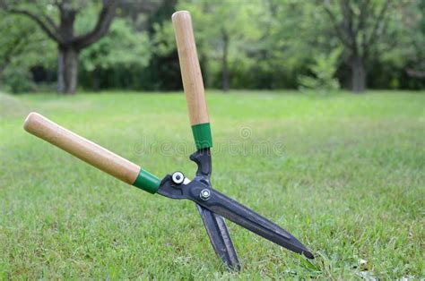 Grass Cutting Scissors Stock Image Image Of Greensward 20790815