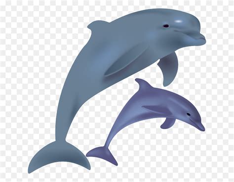 Dolphin Free To Use Clip Art Marine Biologist Clipart Flyclipart