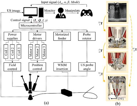 Figure From Ultrasound Guided Wired Magnetic Microrobot With Active