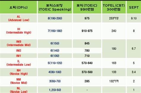 블라인드 블라블라 토익스피킹 레벨6 Vs Opic Il