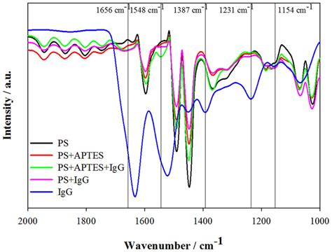 Ftir Spectra Pertaining To The Aptes Functionalization And The Download Scientific Diagram