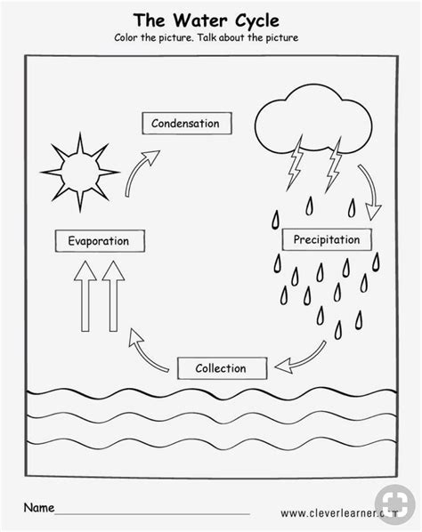 Water Cycle Worksheet Pdf Artofit