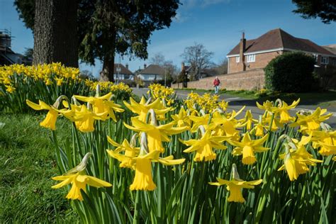 Whats It Like To Live In Waterlooville Yopa Homeowners Hub