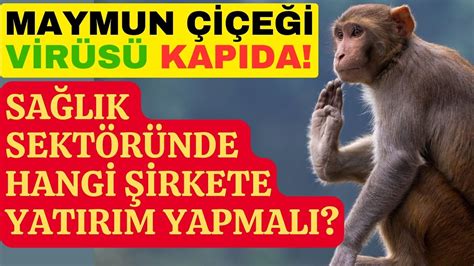 MAYMUN ÇİÇEĞİ VİRÜSÜ KAPIDA SAĞLIK SEKTÖRÜNDE HANGİ ŞİRKETE YATIRIM