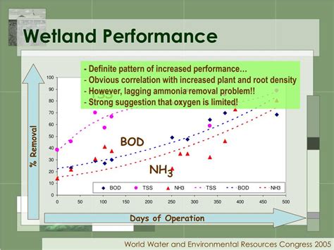 PPT Enhancing O 2 Transfer In Subsurface Flow Constructed Wetlands