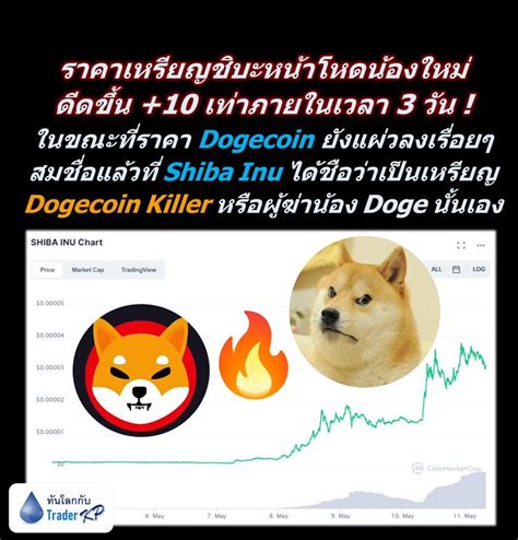 ทันโลกกับ Trader Kp ⚠️ Breaking ⚠️ น้อง Doge โดนแย่งซีน ราคาเหรียญ