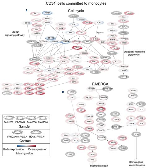 Gene Therapy Restores The Transcriptional Program Of Hematopoietic Stem