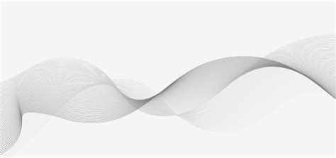 Abstract Gray Smooth Curved Wave Lines On White Background 2070921