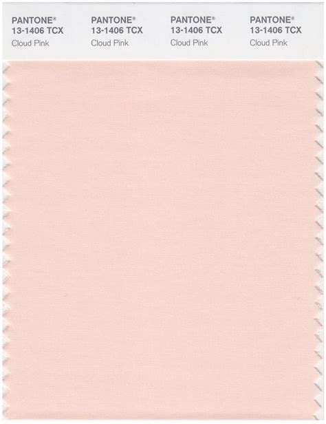 Pantone Smart 13 1406 TCX Color Swatch Card Cloud Pink Magazine