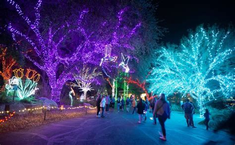 ZooLights at the Phoenix Zoo | Tempe Tourism