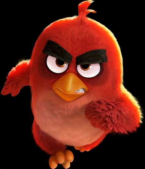 Download Angry Red Bird Character | Wallpapers.com