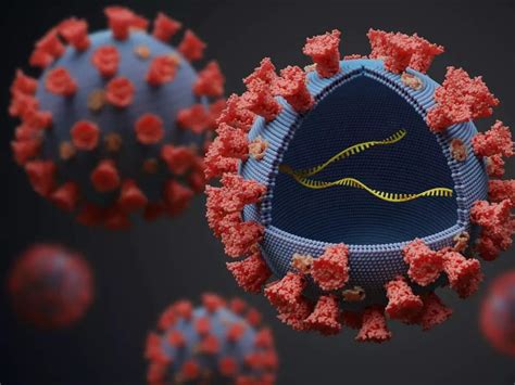 Coronavirus Omicron Variant Versus Delta Variant How To Differentiate