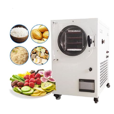 Automatic Production Vacuum Lyophilized Freeze Drying Dryer Machine Fd