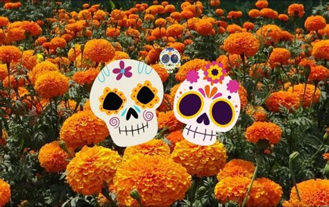 Día de Muertos Este es el significado del cempasúchil en las ofrendas