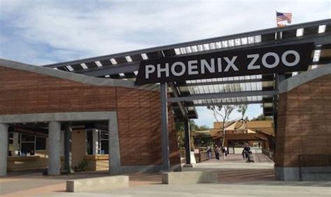 Phoenix Zoo On The Way To A New Wildlife Amphitheater | All About ...