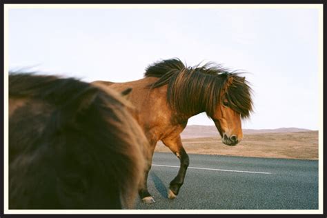 Kodak Ektar 100 - Pros & Cons + 50 Sample Photos