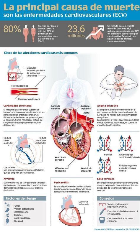 Salud La Principal Causa De Muerte Son Las Enfermedades