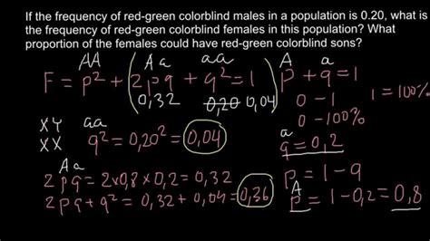 How To Solve For Hardy Weinberg Problems