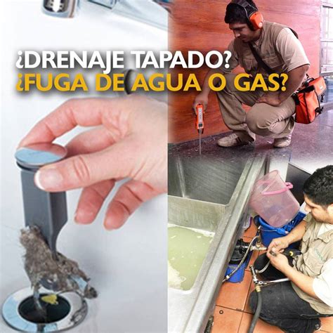 Tecmaga Especialista En Detecci N De Fugas De Agua Y Gas Destape De