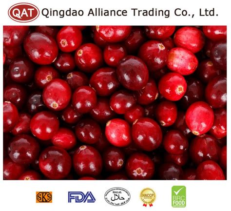 Iqf Fruits Top Quality Frozen Cranberry With Kosher Haccp Brc