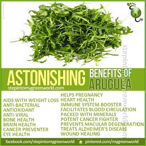 Arugula Rocket Health Benefits Coconut Health Benefits Cancer