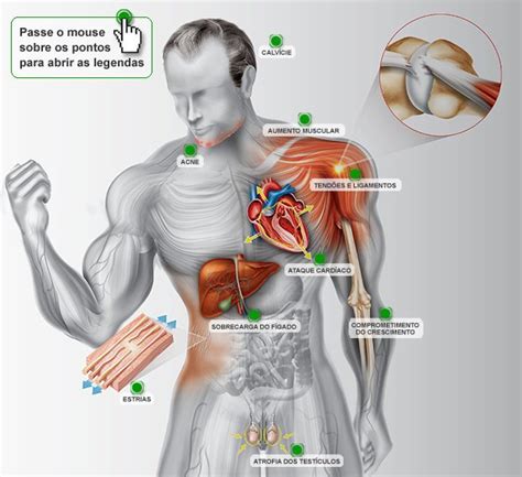 Os Efeitos Dos Anabolizantes No Corpo Nova Escola