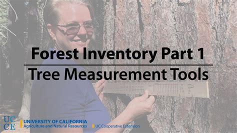 Forest Inventory Part Tree Measurement Tools Youtube