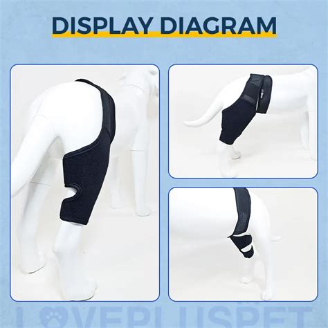 Best Dog Knee And Leg Brace For Torn Acl For Sale Lovepluspet