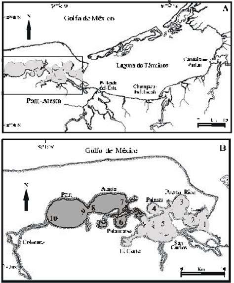 Figure 1 from ESTRUCTURA POBLACIONAL MADUREZ GONÁDICA Y ALIMENTACIÓN