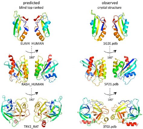 Predicted 3d Structures For Three Representative Proteins Visual