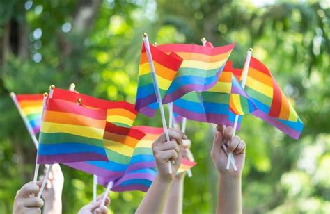 La France Crée Un Fonds Pour Défendre Les Droits Des Personnes Lgbt Elle