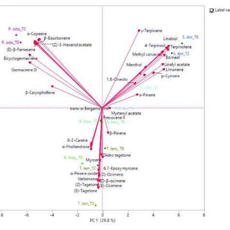 Principal Component Analysis Pca Plot Of Volatile Organic Compounds Download Scientific