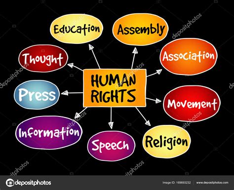 Mapa Mental Sobre Os Direitos Humanos REVOEDUCA