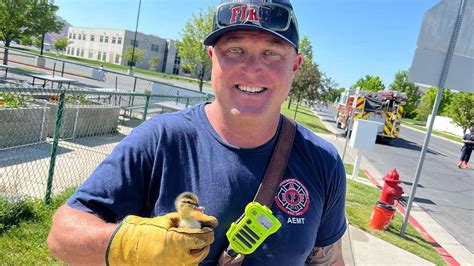 Firefighters In Utah Rescue Ducklings Near A Storm Drain Mylot