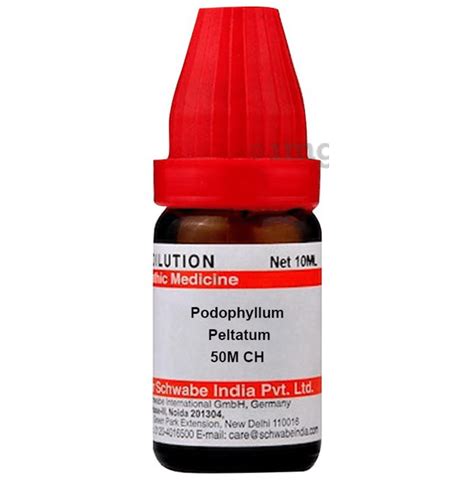 Dr Willmar Schwabe India Podophyllum Peltatum Dilution 50m Ch Buy Bottle Of 10 0 Ml Dilution At