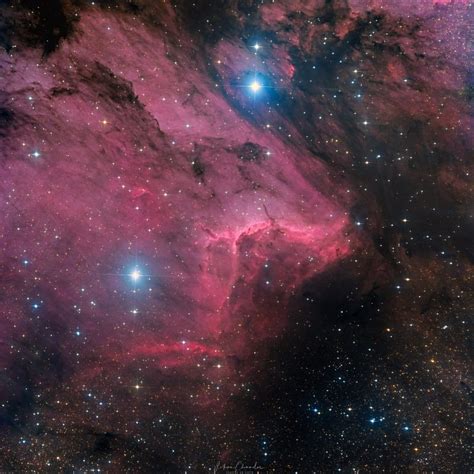 Nebulosa Pellicano Apod By Astronomia