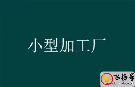 农村致富小型加工厂有哪些（8个农村办小型加工厂项目分享） 飞扬号