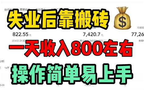 失业后负载累累，靠搬运视频一天收入800，存款20w，分享我的操作方法！ 哔哩哔哩 Bilibili