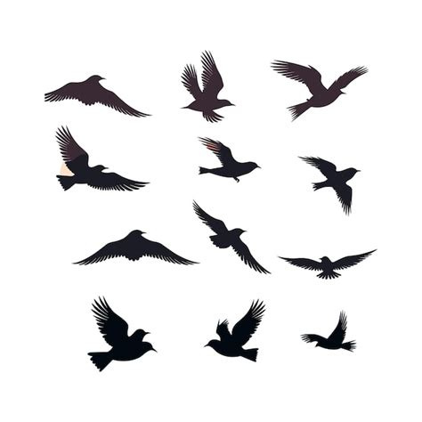 Des Oiseaux Volants En Silhouette Vecteur Premium