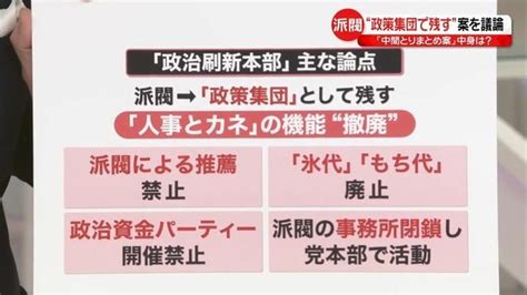 【解説】「政策集団」として生き残れる？ “透明性”どう担保？ 政治刷新本部「中間とりまとめ案」中身は 日テレnews Nnn